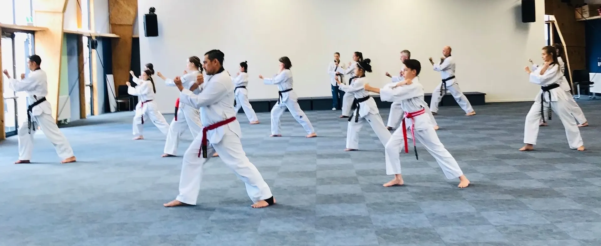 Shirley Olympic Taekwondo students training in the dojang